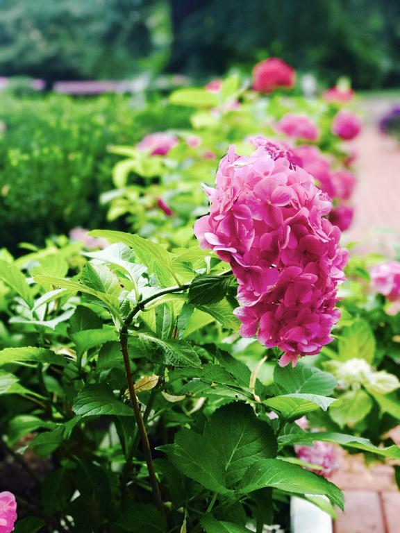 Rezydencja Willa Park & Restauracja Legnica Dış mekan fotoğraf